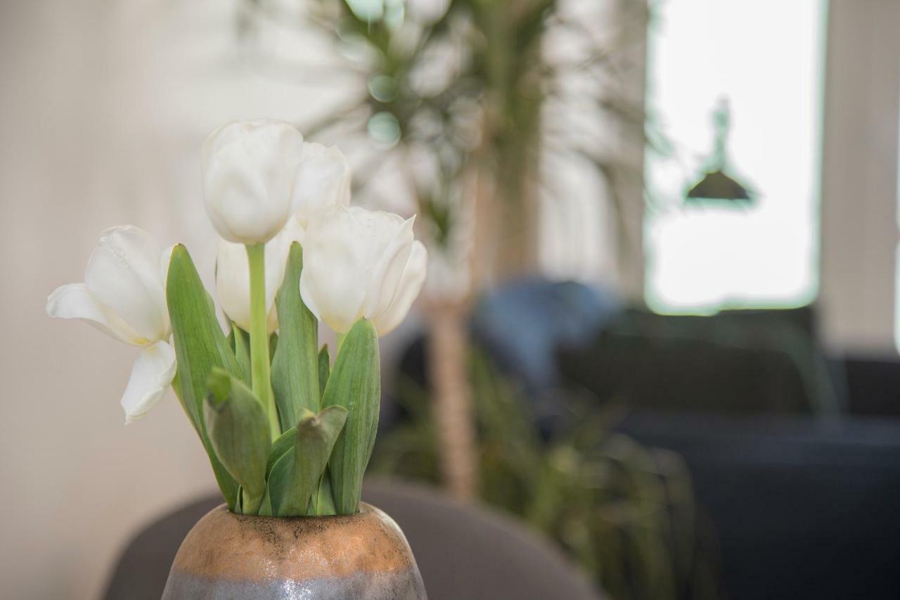 Apartamento Liiiving In Porto - Cozy & Chic Downtown Exterior foto